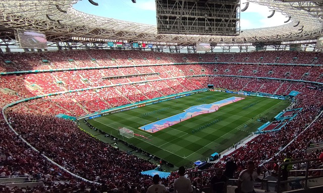 类运动会 类运动会