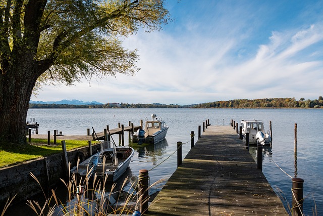 了广泛认可 了广泛认可