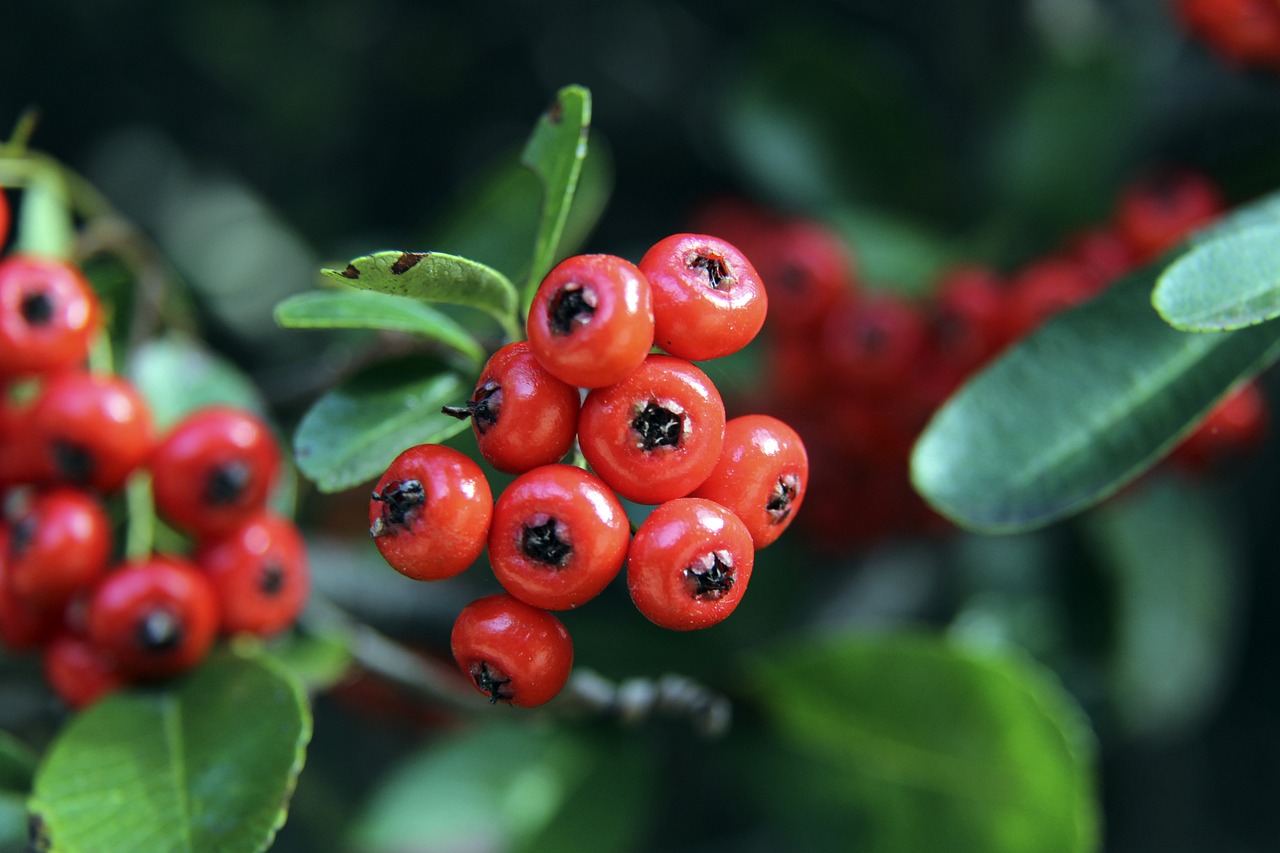 完美控制 完美控制